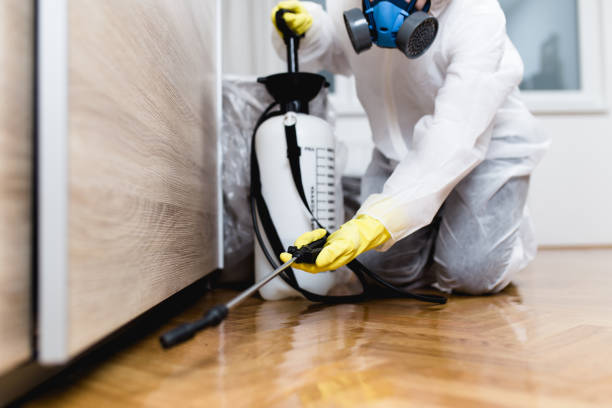 Best Affordable Pest Control Services  in Whitfield, PA