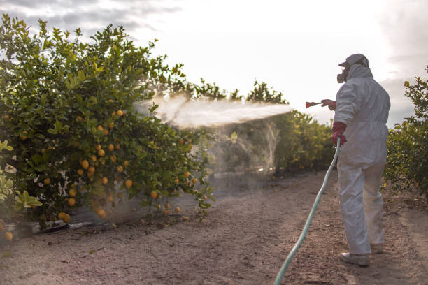 Trusted Whitfield, PA Pest Control Experts