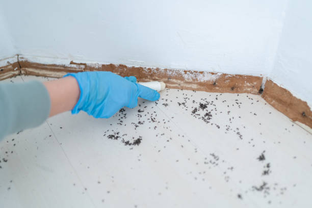 Best Wildlife Control Services  in Whitfield, PA